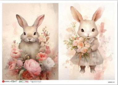 Two illustrations of rabbits with floral wreaths on a white background
