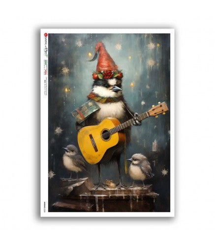 Illustration of a bird playing guitar with two birds, set against a starry night sky.