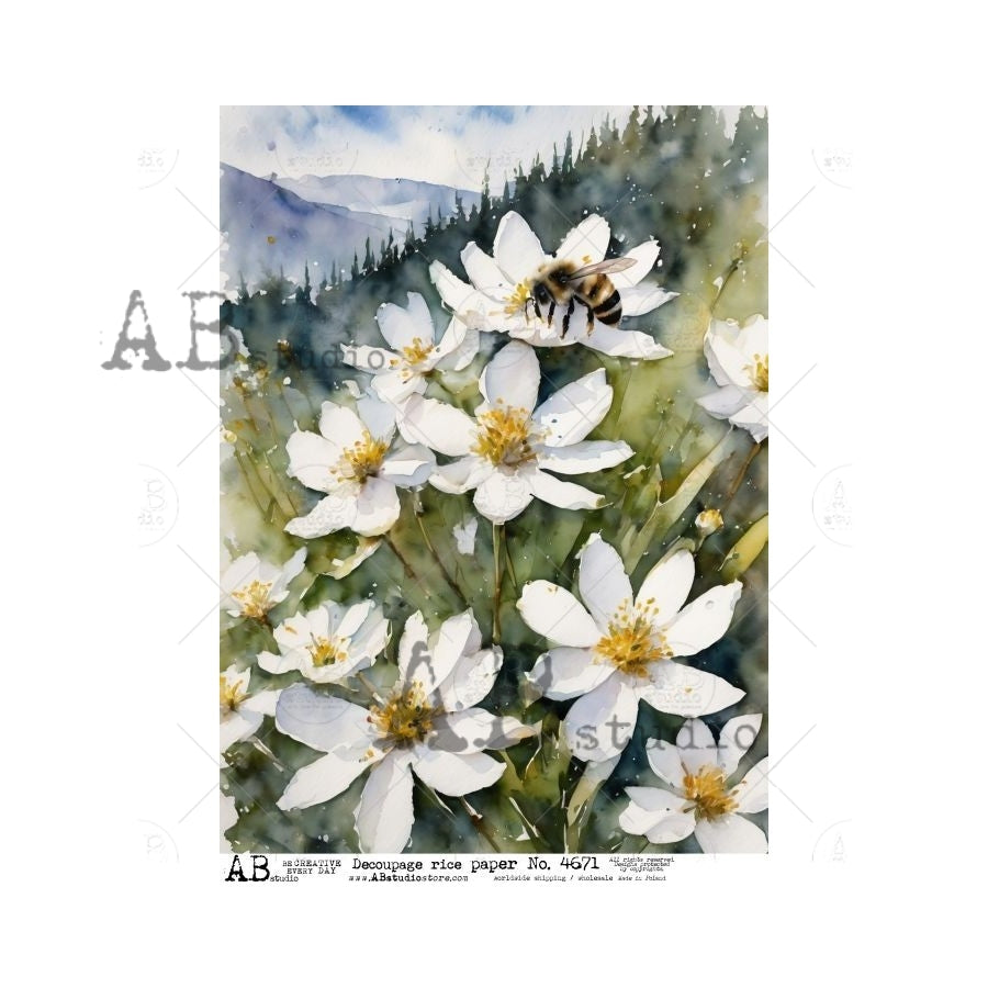 AB Studios FIELD of White DAISIES A4 Decoupage Rice Paper #4671