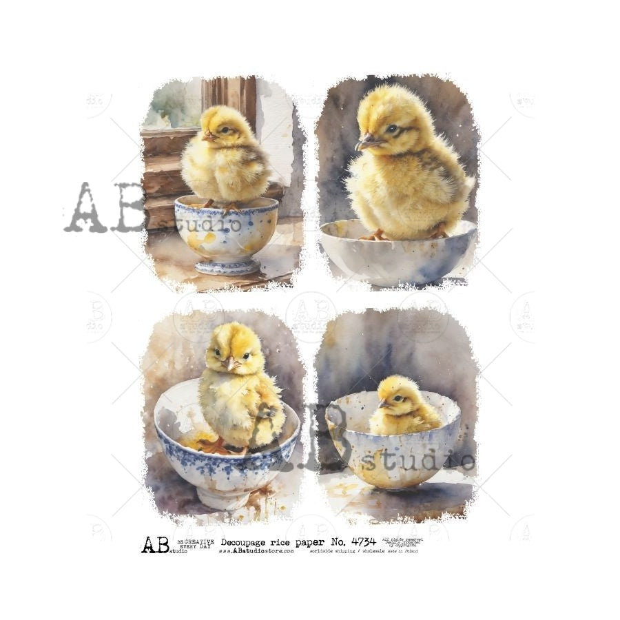 AB Studios Four Pack EASTER CHICKS in Teacups A4 Decoupage Rice Paper #4734