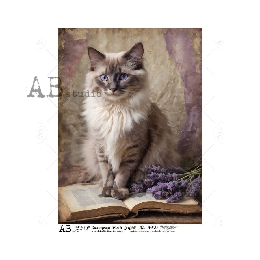 AB Studios LAVENDER KITTY on a Book A4 Decoupage Rice Paper #4950