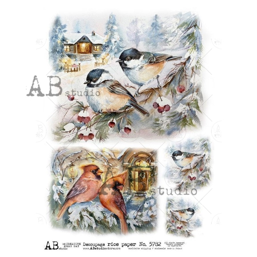 ABStudios PAINTED WINTER BIRDS A4 Decoupage Rice Paper #5782