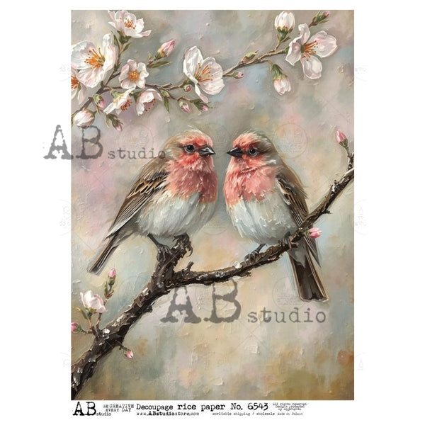 AB Studios BIRDS ON A BRANCH A4 Decoupage Rice Paper #6543