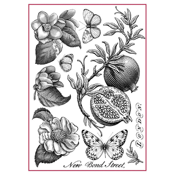 Illustration of flowers, fruits, and butterflies with 'New Bond Street' text on a white background.