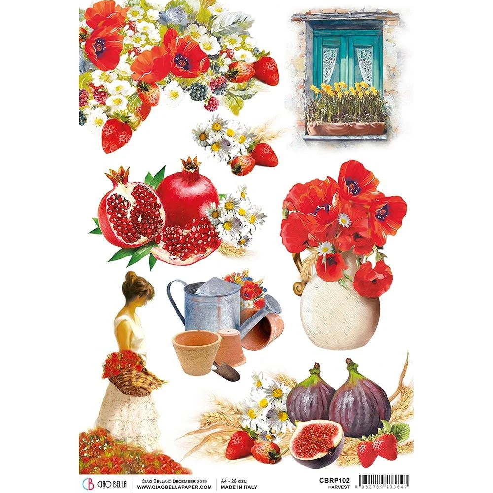 Ciao Bella Under the Tuscan Sun HARVEST Rice Paper A4 Mixed Media #CBRP102