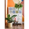 re-design Prima CASA TILES 6X12 Decor Furniture Decal Transfers #656751