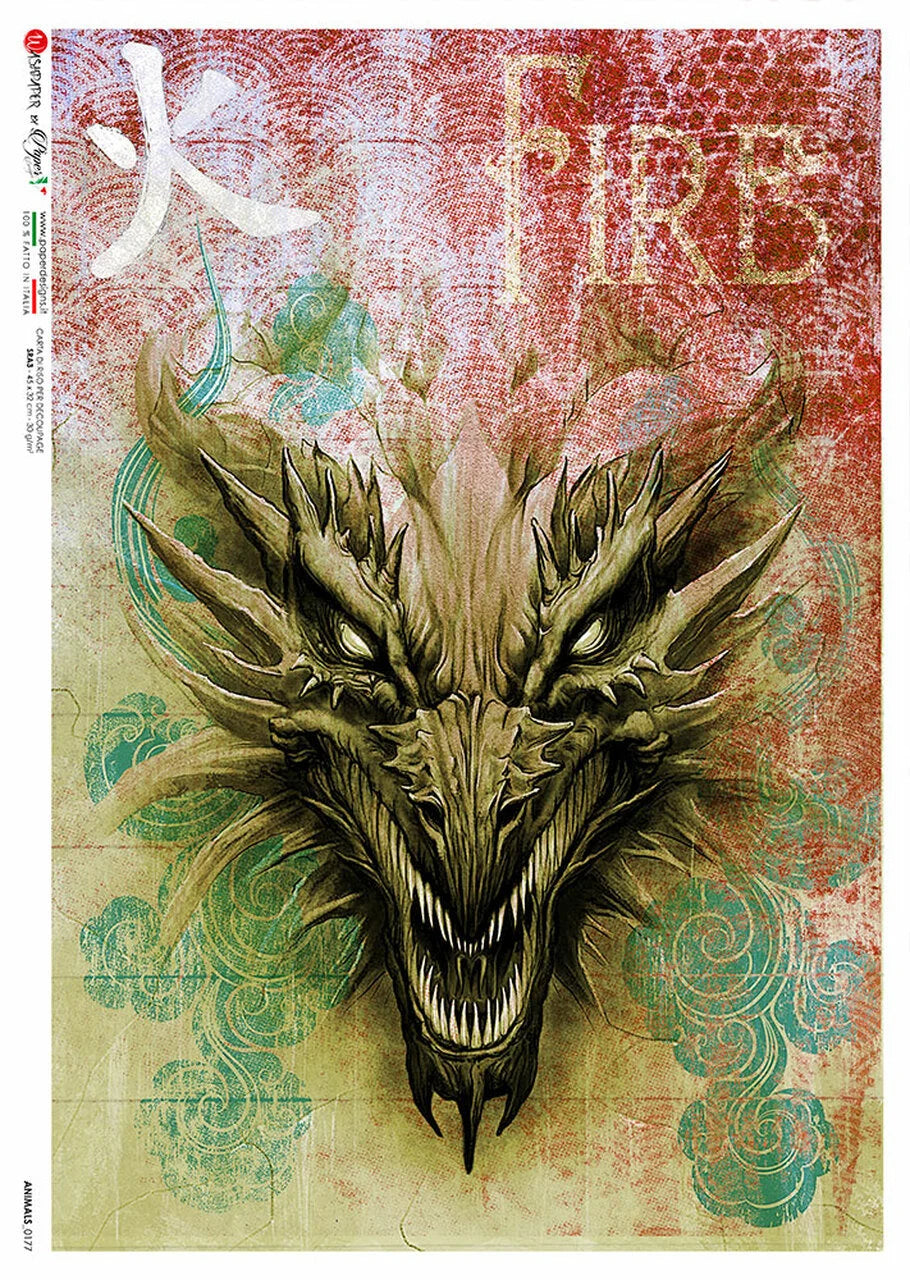 Dragon illustration with 'Fire' text on a textured background