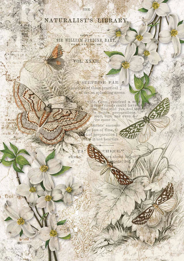 Decoupage Queen NATURALIST LIBRARY A4 Rice Paper dqrp0147