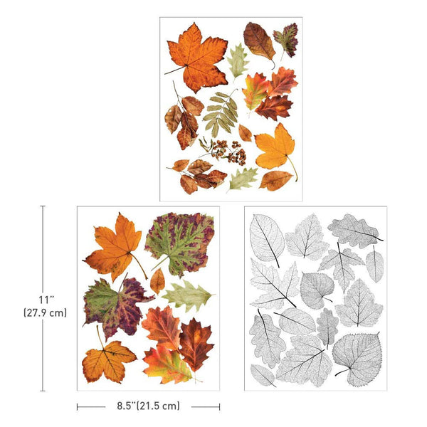 Re-design with Prima CRUNCHY LEAVES FOREVER 8.5 x 11 Decor Transfers 3 sheets #660116