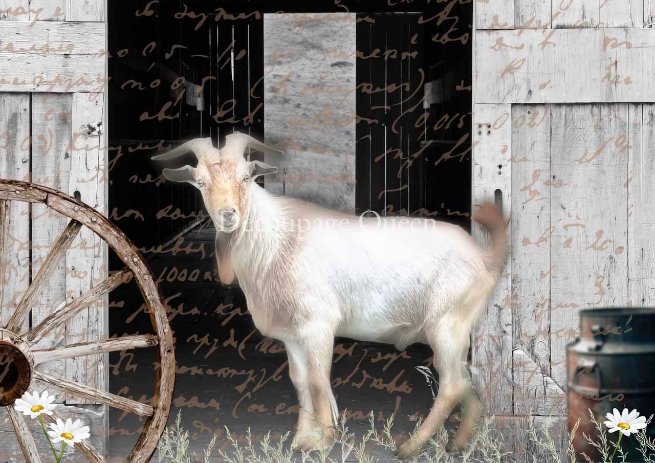 White goat standing in front of a rustic wooden door with a wagon wheel and flowers.