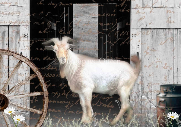 White goat standing in front of a rustic wooden door with a wagon wheel and flowers.