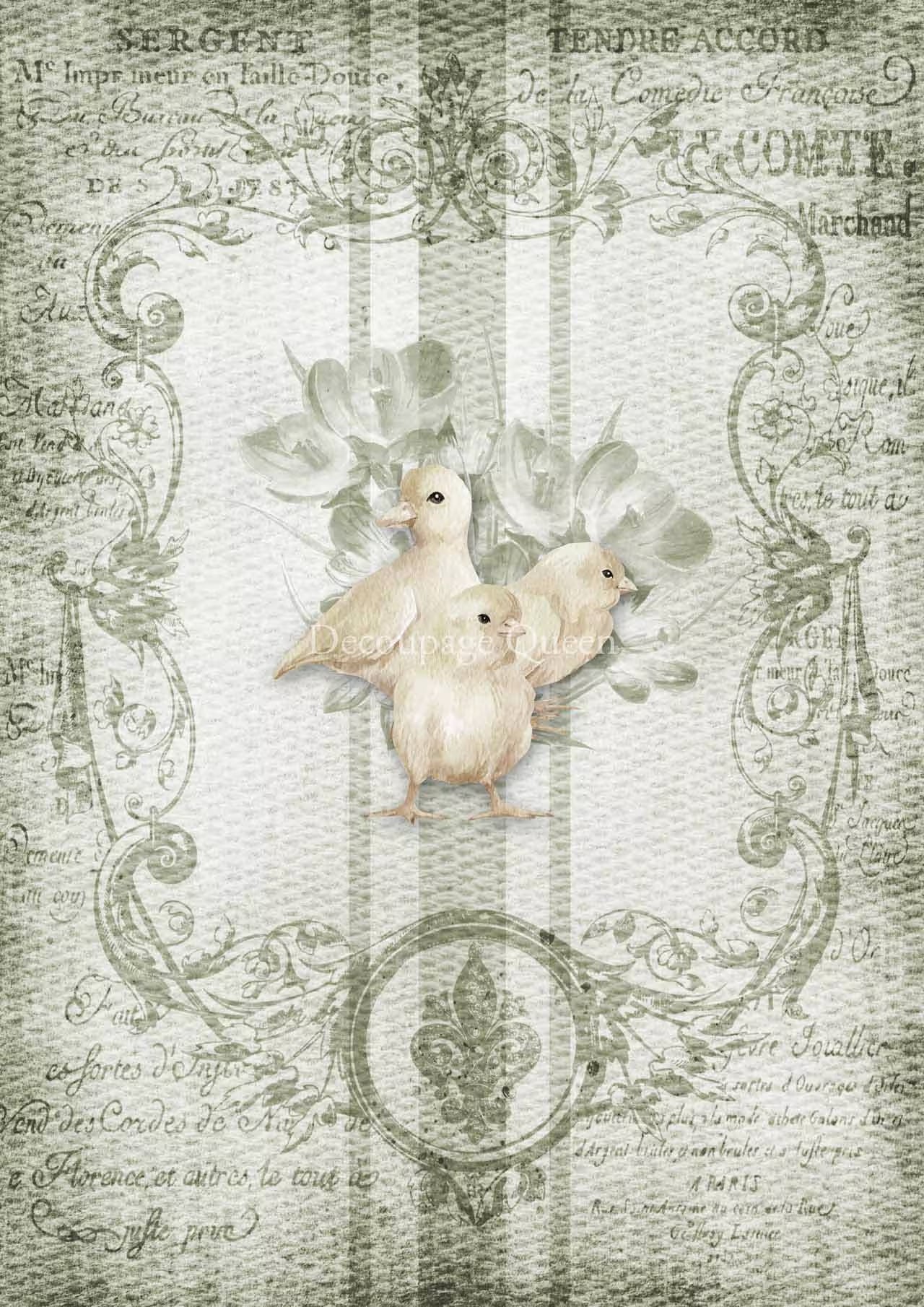 Decoupage Queen Spring GRAIN SACK CHICKS A4 Rice Paper dqrp0425 (Retired 2.25)
