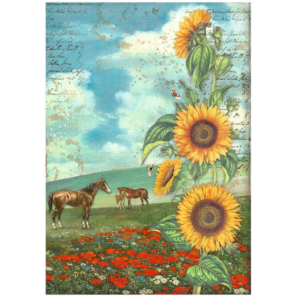 Stamperia SUNFLOWER ART A4 Rice Paper SELECTION Decoupage  #DFSA4XSF