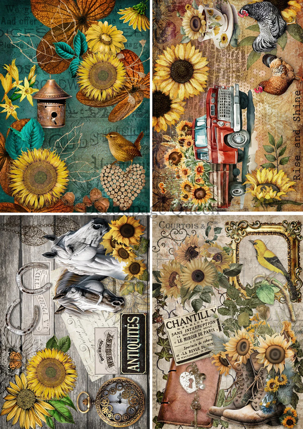 Decoupage Queen SUNFLOWERS 4 PACK A4 Rice Paper DQRP0495
