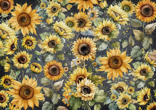 Decoupage Queen FIELD of SUNFLOWERS A4 Rice Paper Flowers DQRP0489