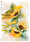 Paper Designs FLOWERS 0400 A4 Decoupage Rice Paper