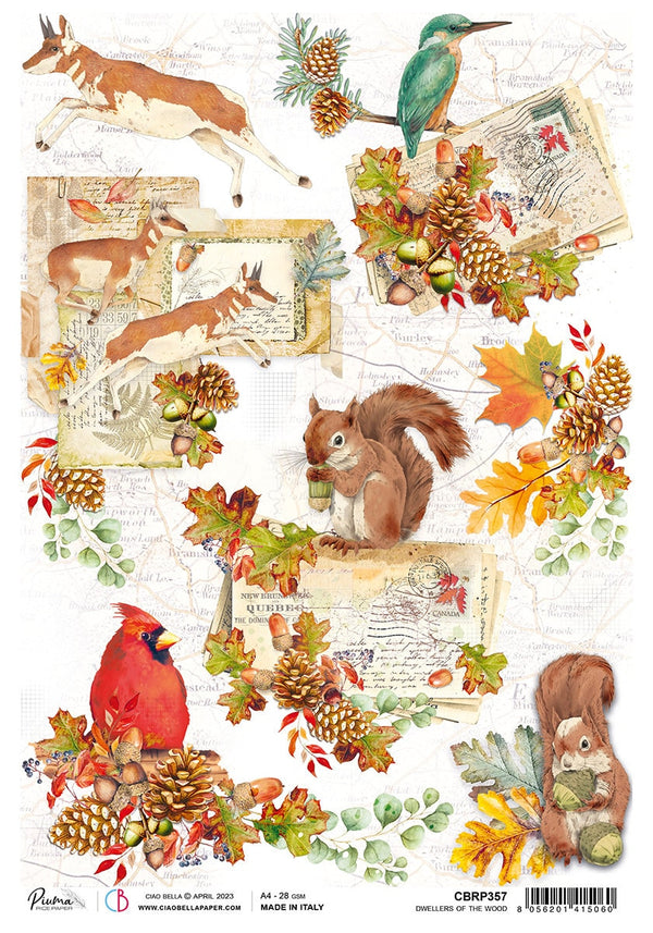 Ciao Bella Into the Wild DWELLERS of the WOOD Decoupage Rice Paper A4 #CBRP357