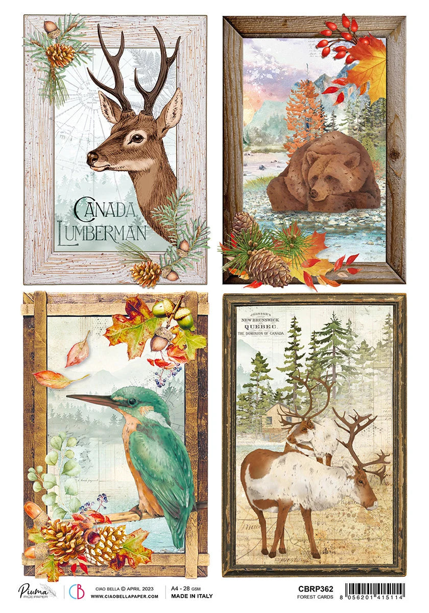 Ciao Bella Into the Wild FOREST CARDS Decoupage Rice Paper A4 #CBRP362