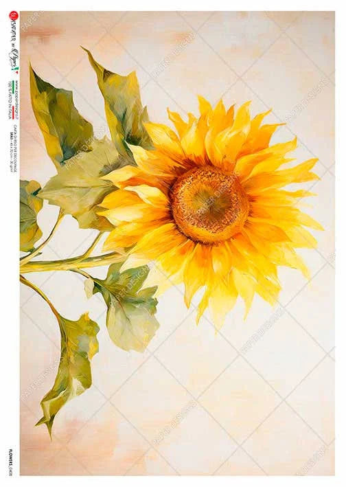 Paper Designs SOLO SUNFLOWER A4 Decoupage Rice Paper #FLOWERS 0408