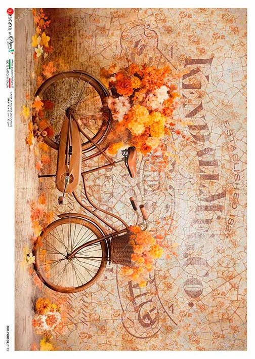 Paper Designs AUTUMN Floral BICYCLE A4 Decoupage Rice Paper #Old PHOTOS 0115