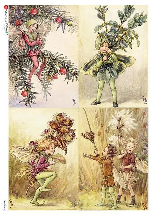 Four illustrations of fairies in various poses with foliage and flowers.