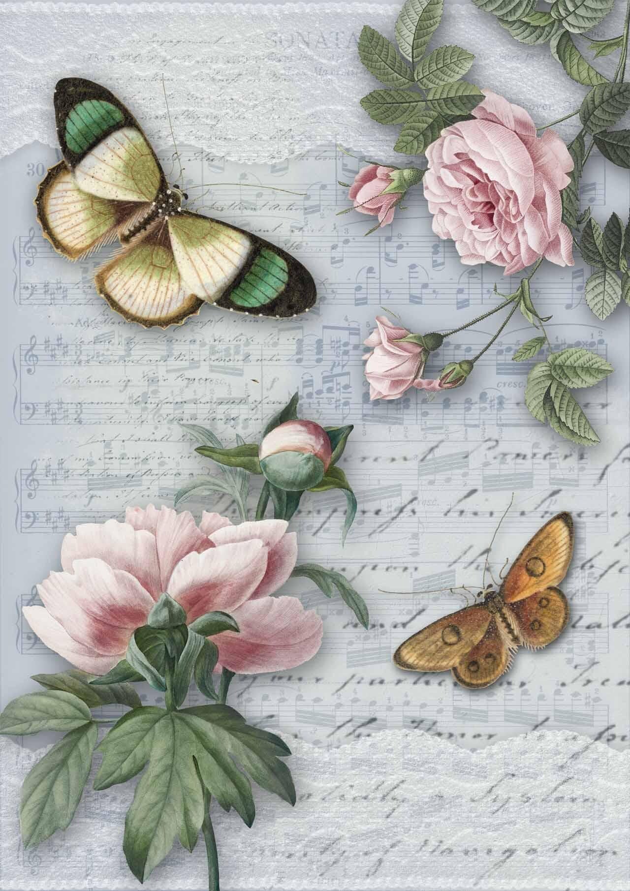 BUTTERFLIES AND FLOWERS  OVER A SHEET OF MUSIC
