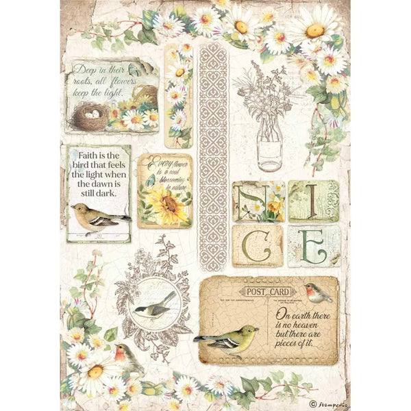 STAMPERIA Decoupage DAISIES Rice Paper A4  #DFSA4620