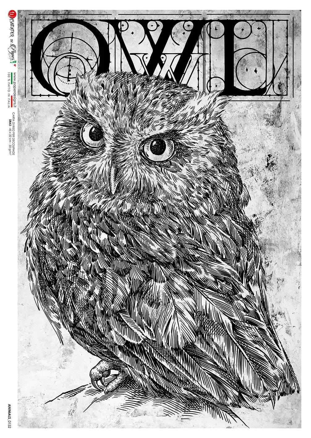 Paper Designs ANIMALS0152 Owl Illustration A4 Decoupage Rice Paper