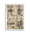 Paper Designs STEAMPUNK 4 PACK - A4 Decoupage Rice Paper #OLD OBJECTS 0029