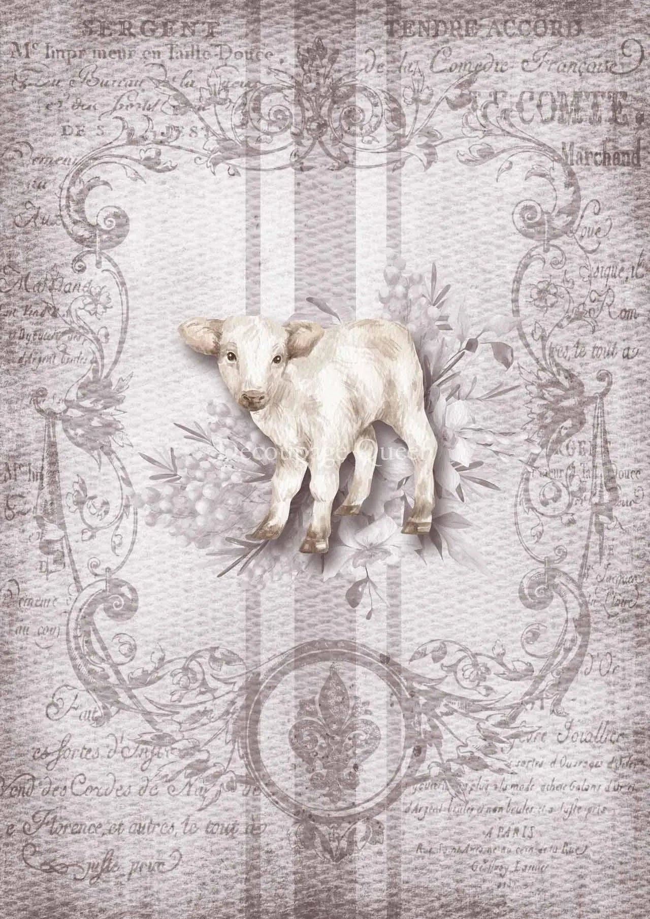 Decoupage Queen Spring GRAIN SACK LAMB A4 Rice Paper dqrp0424 (Retired 2.25)