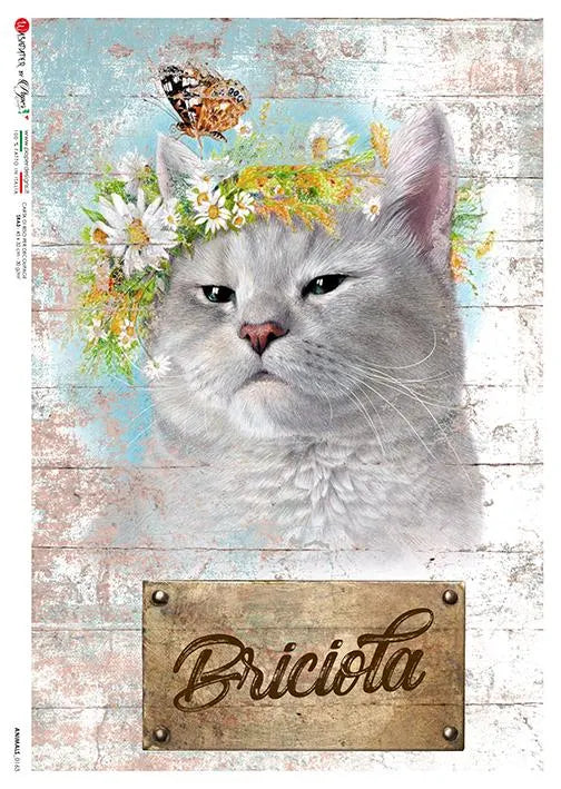 Paper Designs CAT A4 Decoupage Rice Paper ANIMALS0163