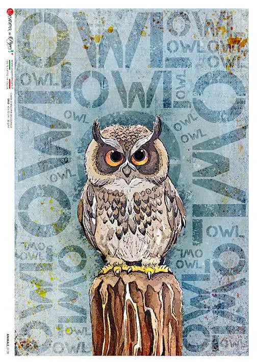 Paper Designs OWL A4 Decoupage Rice Paper #ANIMALS0139