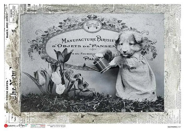 Paper Designs DOG Watering the Plant A4 Decoupage Rice Paper #OLD PHOTOS 0107