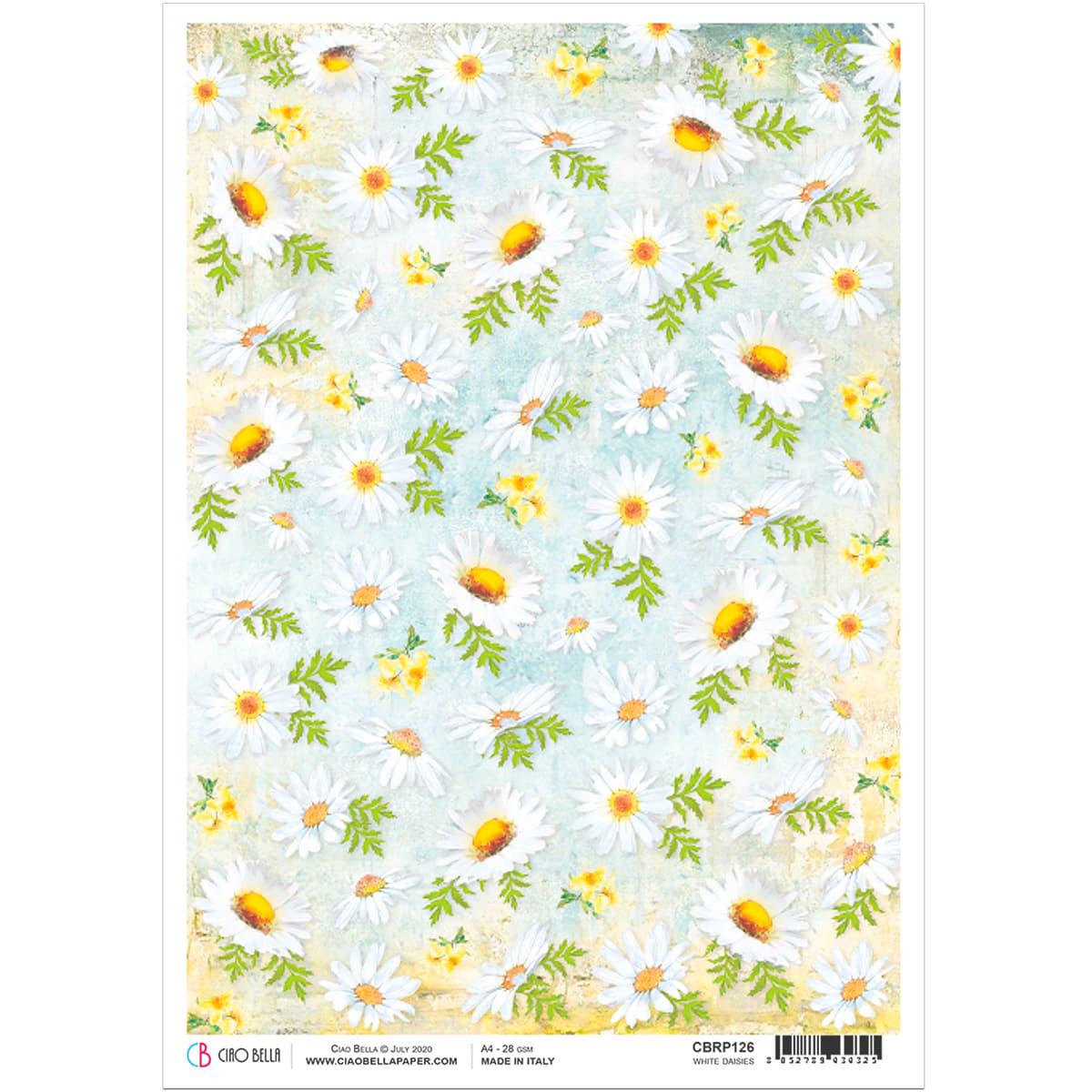 Ciao Bella MICROCOSMOS WHITE DAISIES Rice Paper A4 Mixed Media CBRP126