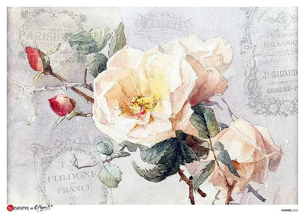 Paper Designs FLOWERS 0322 A4 Decoupage Rice Paper