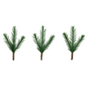 PRE-ORDER Tim Holtz idea-ology PINE STEMS 8 pcs #TH94499