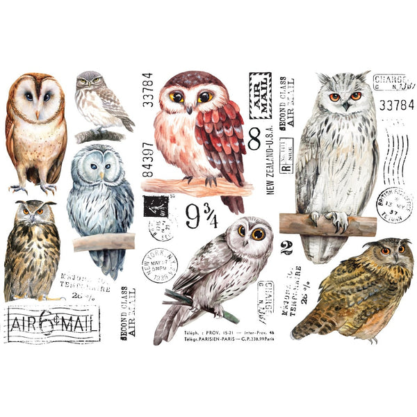 Re-design with Prima OWL  6X12 Decor Transfers 3 sheets #656010